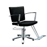 Salon Chair Capri Series Thumbnail Image