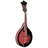 Musical Instruments : M1SDL Mandolin (Trans Red)