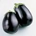 Eggplant Black Beauty Certified Organic Heirloom Seeds 75 Seeds