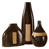 Uttermost Ciaran Vases, Set of Three