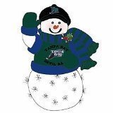 Tampa Bay Rays Fiber Optic Snowman