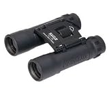 Electronics : PARALUX - Eagle 02-2113 10X25 Mini Binoculars - black