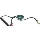 Dog Whisperer by Cesar Millan Small Leash in Spiritual Green, 48 L X 3/16 Diameter