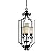 Sea Gull Lighting 51146-814 Acadia Four-Light Hall / Foyer - 51146-814