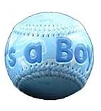 It's a Boy-Autograph Baseballs in White Fabric Bag