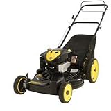 Brute (22) 190cc 3-in-1 Self-Propelled Lawn Mower