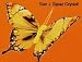 5 Sun Butterfly Cake Embellishment With Topaz Swarovski Crystals