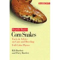 BarronS Educational Series Reptile Guide Corn Snakes 21g5Jop6vlL. SL500 AA200 BarronS Educational Series Reptile Guide Corn Snakes