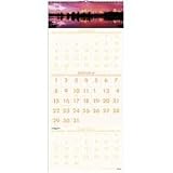 At-A-Glance DMW503-28 Scenic Landscape Monthly Wall Calendar, 14 Months, 3 Months/Page, 12-1/4 x 27
