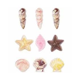 Buy Candy & lollipop Mold Seashell by Wilton now!