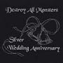 Silver Wedding Anniversary