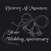 Silver Wedding Anniversary
