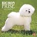 Bichon Frise 2010 Wall Calendar