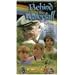 Behind the Waterfall [VHS]
