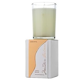 Arbonne Mandarin CashmereTM Glass Candle (70 hours)