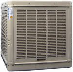 champion swamp coolers:Champion Cooler 3000Cfm Cabinet Cooler N31d Evaporative (Swamp) Cooler