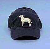 Cap: Yellow Lab