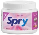 Xlear - Spry Mints Raspberry, 240 mints