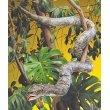 Boa Constrictor Puppet