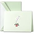 Engraved Orchid Celadon Notes