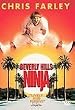 Beverly Hills Ninja : Widescreen Edition