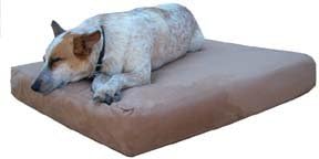 The original Max Comfort® memory foam dog bed. World's Best TM dog beds. Large 4"x30"x48" Buckskin Microfiber