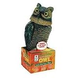 Jobe's Electric Garden Defense Owl
