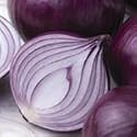 SUTTONS SEEDS: Onion Seed (Bulb) F1 Kamal (220 seeds)