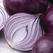 SUTTONS SEEDS: Onion Seed (Bulb) F1 Kamal (220 seeds)