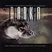 Tarka