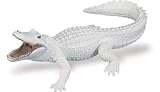White Alligator