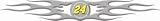Jeff Gordon Rear Window Auto Graphic Emblem