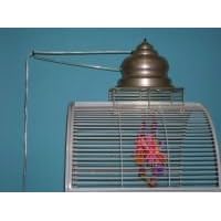FeatherBrite Champagne Capitol Light by FeatherBrite