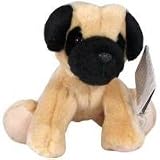 Shining Stars Pug
