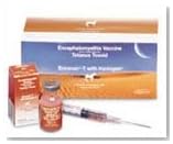 Encevac T w/Havlogen Vaccine 1 Dose