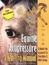 Equine Acupressure DVD; Introduction to Equine Acupressure (Lake Forest Anatomicals Vet Models)
