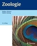 cover of Zoologie,  Wehner, Gehring, Kühn