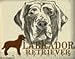 Medium Embroidered Chocolate Labrador Retriever T-Shirt