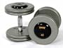 Troy Gray Pro Style Dumbbells 55 lb.- 75 lb. Set