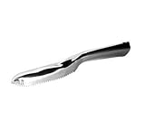 Fish Scaler, 9-1/2'', Stainless Steel (12 Pieces/Unit) thumbnail