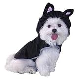 CAT COSTUME MED