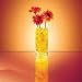 Crystal Soil Water Beads - GOLDEN YELLOW - Wedding Centerpiece - Makes 6 Gallons (8 Oz. Pack) + 1 Crystal Soil Rose