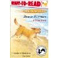 Brave Norman : A True Story by Clements, Andrew [Simon Spotlight, 2002] Paperback [Paperback]