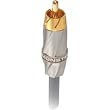 Monster MC 400SW-2M High Performance Subwoofer Cable (2 meters)