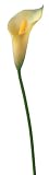 Artificielles - Arum, 50cm blanc neige artificiel
