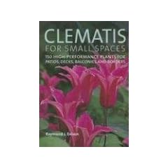 Clematis for Small Spaces