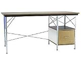 Charles and Ray Eames