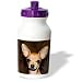 chihuahua30 - Dogs Chihuahua Chihuahua Portrait Water Bottles