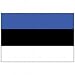 Republic of Estonia Flag