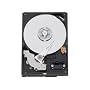 Western Digital WD5000AACS 500 GB 8,9 cm (3,5 Zoll) Festplatte intern Caviar Green SATA II
